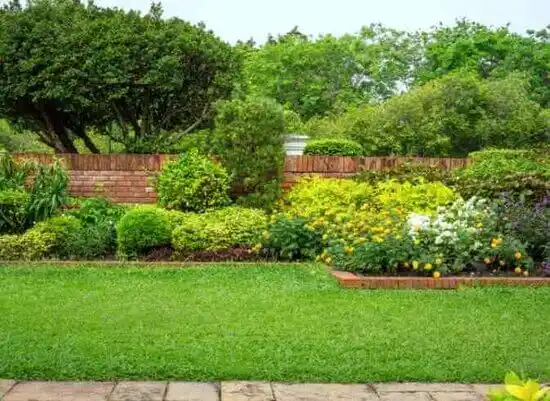 landscaping services Bloomdale